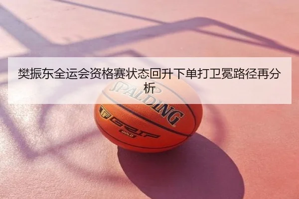 樊振东全运会资格赛状态回升下单打卫冕路径再分析