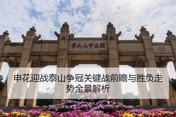 申花迎战泰山争冠关键战前瞻与胜负走势全景解析
